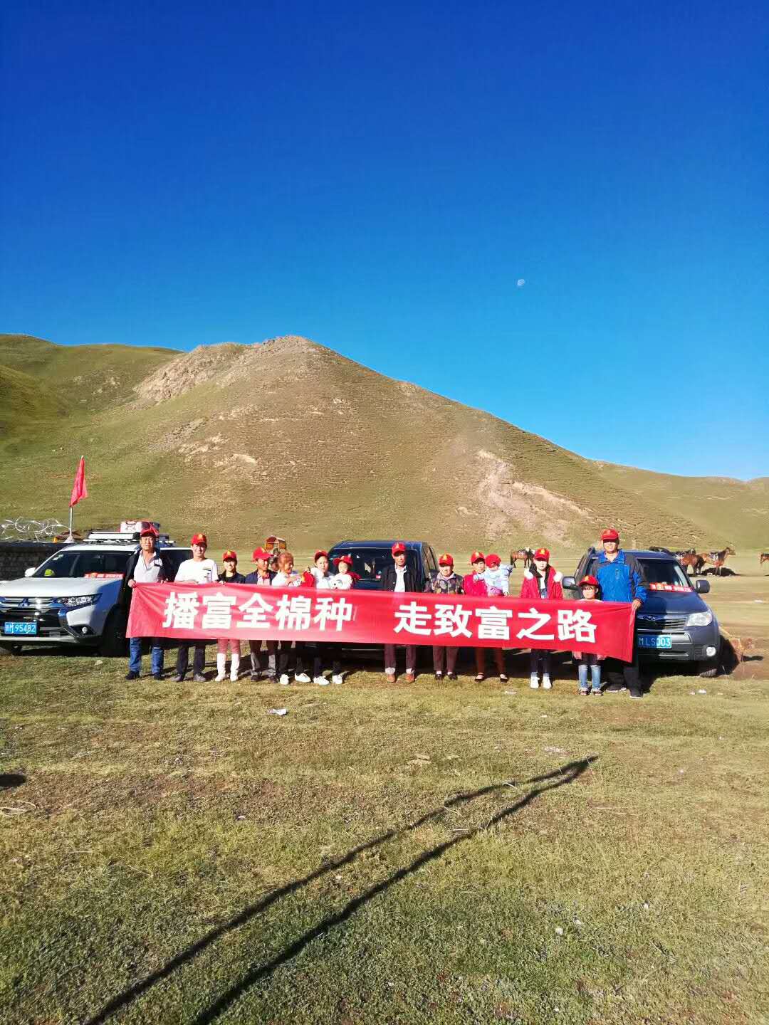 播富全棉種，走致富之路